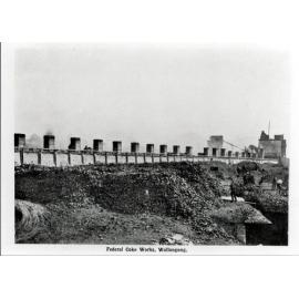 Federal Coke Works, Wollongong