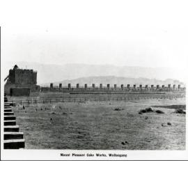 Mount Pleasant Coke Works, Wollongong 1