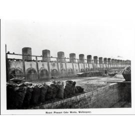 Mount Pleasant Coke Works, Wollongong 2