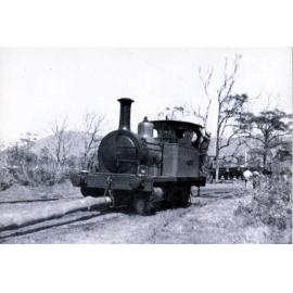 Corrimal CCC1 hauling a pole